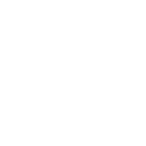 Crown Chiropractic crown logo